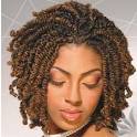 Spring Twists Braids