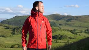 Image result for mountain top seashell