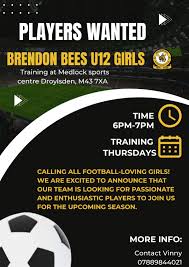 Image result for Brendon Bees Junior Football Club