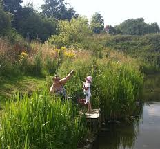 Image result for Taunton Angling Association