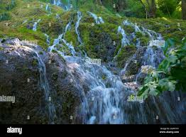 「parque los chor」の画像検索結果