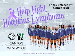 Image result for Chesterfield Cobras Volleyball Club