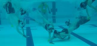 Image result for Falmouth and Helston Octopush Club