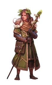 Image result for druid