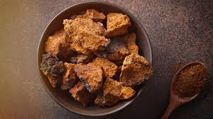 Attēlu rezultāti vaicājumam “Inonotus obliquus”