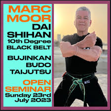 Image result for Budo Warrior Schools