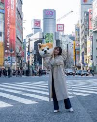 「シェイ・シェイ」の画像検索結果