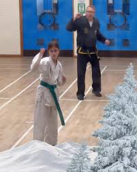 Image result for Hillcross, Raynes Park & Redhill Choi Kwang-Do