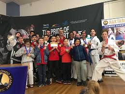 Image result for Red Dragon Taekwondo club