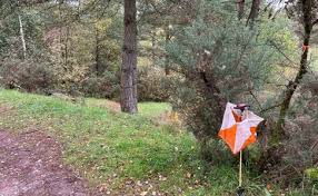 Image result for Manchester & District Orienteering Club