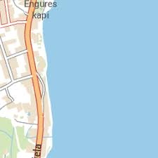 Attēlu rezultāti vaicājumam “Badhamiopsis scripta sessile”