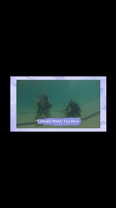 Image result for Lincoln & District BSAC 0109