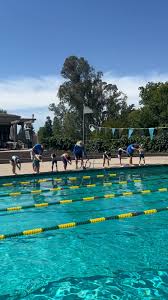 Image result for Stockton Swimming Club