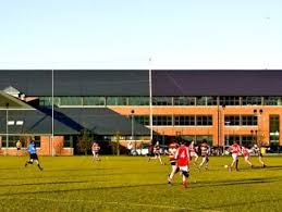 Image result for Silverbridge Harps Gac