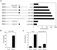 Image result for Ware Bsac