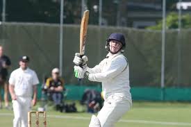 Image result for Three Bridges Cricket Club