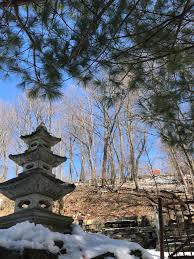 Image result for Tora Dojo