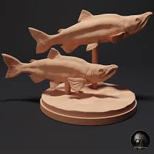 Image result for Oncorhynchus nerka