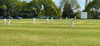 Image result for Nazeing Common Cricket Club