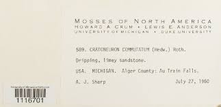 Attēlu rezultāti vaicājumam “Palustriella”