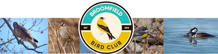 Image result for The Broomfield Club