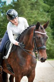 Image result for Fisher Equestrian