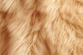 Image result for white rabbit skin texture
