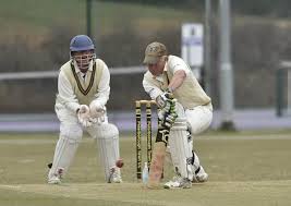 Image result for Peterborough Town Cricket Club