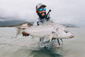 Image result for Pomadasys commersonnii