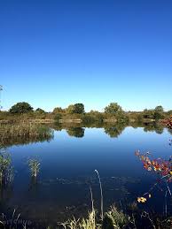 Image result for Grendon Lakes, Northants