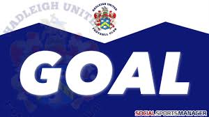 Image result for Hadleigh United Football Club