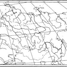Attēlu rezultāti vaicājumam “Eurhynchiastrum pulchellum macro”