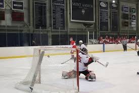 Image result for Burgess Hill Hockey Club