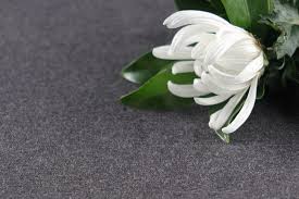 Image result for 自宅突然死 単身世帯