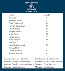 Image result for Breckland Forest Gymnastics Club 2004