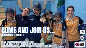 Image result for Mellis Cricket Club