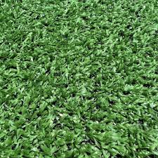 Image result for Astroturf