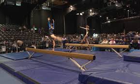 Image result for Tamworth Olympic Gymnastics Club