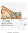 <b>De Quervain Disease</b>
