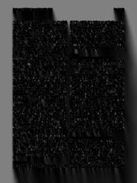 Attēlu rezultāti vaicājumam “Symphytocarpus impexus”