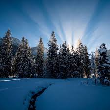 Image result for schnee