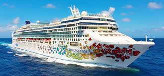 「ウェイン・クルーズ」の画像検索結果