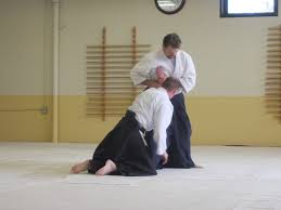 Image result for Fudokai Aikido Dojo