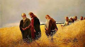 Image result for Santa Maria di Cleofa