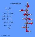 The <b>galactose</b> free diet is