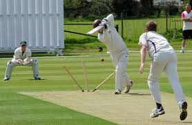 Image result for Blunham Cc