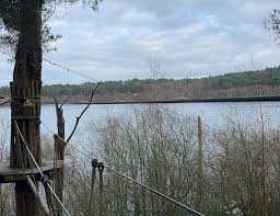 Image result for The Go Ape Experience (Delamere Forest)