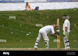 Image result for Hayfield Cricket Club