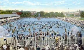 Image result for York University Pool Club