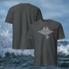 Image result for Aztec Divers